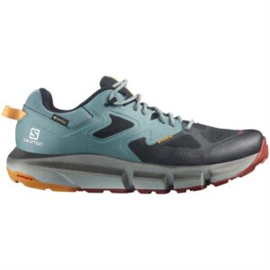 Salomon Predict Hike GTX Mens, Black / Trooper