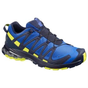 Salomon XA Pro 3D v8 GTX Mens, Blue / Blue