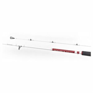 Daiwa Sealine Z Trolling