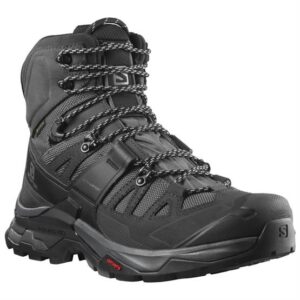 Salomon Quest 4 GTX Mens, Magnet / Black